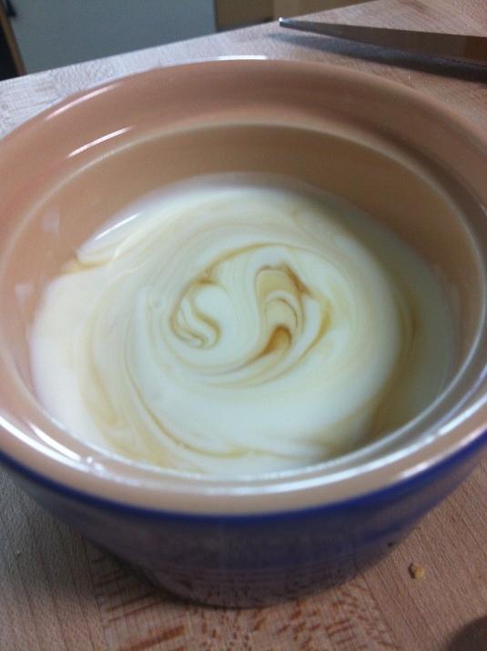 Homemade plain yogurt
